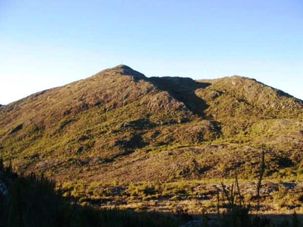 Campo de altitude no Pico da Bandeira, no Espírito Santo