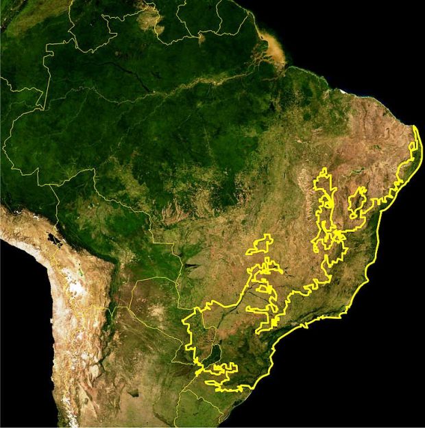 Mata Atlântica brasileira - Imagem da NASA